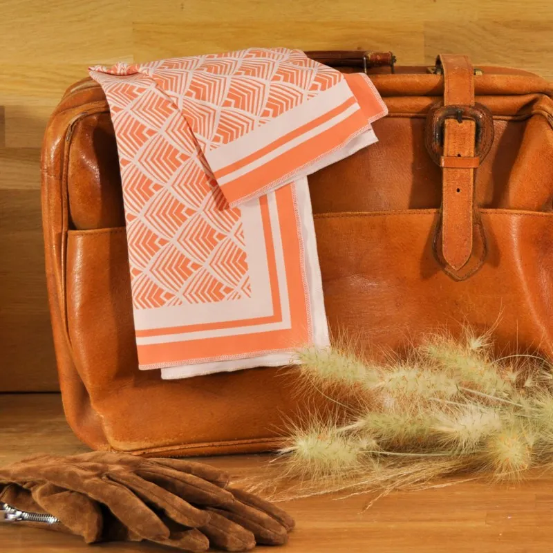Elegant professional ALMA LAFONT scarf